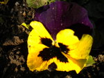 DSCN0382.JPG