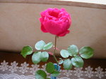 DSCN8761.JPG