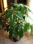 DSC01359_244 MO.jpg