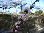 DSCN0435.JPG