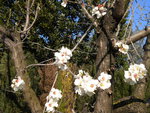 DSCN0432.JPG