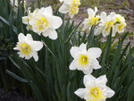 DSCN0474.JPG