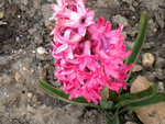 DSCN0472.JPG