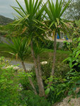 DSCN3279.JPG