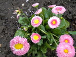 DSCN0477.JPG