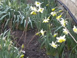 DSCN0479.JPG