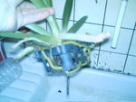 IMAG0089.JPG