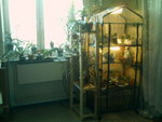 IMAG0097.JPG