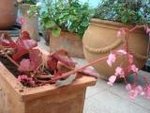 DSC01710.JPG