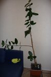 P1010044_bis.jpg