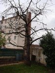 DSC01595.JPG