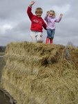 DSC03631.JPG