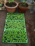DSC03632.JPG
