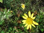 IMG_2450-compo-640.jpg
