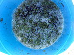 DSC00009.JPG