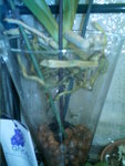 IMAG0039.JPG