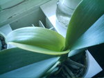 IMAG0046.JPG