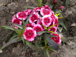 DSCN0470.JPG