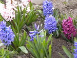 DSCN0473.JPG