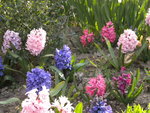 DSCN0469.JPG