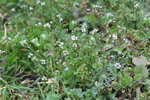 IMG_1749b.JPG