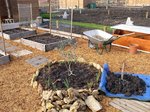 2010 03 21_009.JPG
