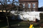 Ne faites pas trop attention à la maison derrière je cherche des bambous ( et là, je sens quelques réponses des experts en BAMBOUS)
