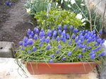 DSCN0519.JPG