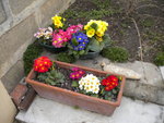 DSCN0495.JPG