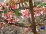 DSCN0502.JPG