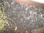 DSCN0512.JPG