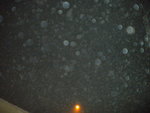 DSCN0511.JPG