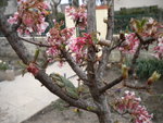DSCN0506.JPG