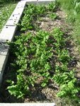 DSC03637.JPG
