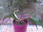 Photo018.jpg
