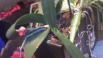 DSC00078.JPG