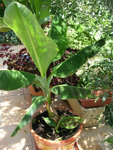 DSCN3496.JPG