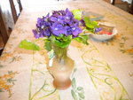 DSCN0543.JPG