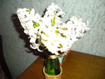 DSCN0557.JPG