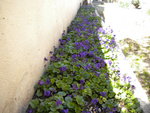 DSCN0535.JPG