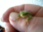 DSCN0540.JPG