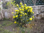 DSCN0552.JPG