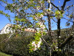 DSCN0538.JPG