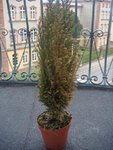 DSC072951.JPG