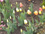 DSCN0555.JPG