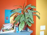 Plante_004.JPG