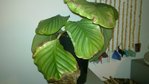20100330_002.jpg