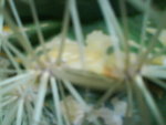 DSC00381.JPG