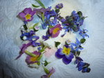 fleurs comestibles P1010694.JPG