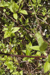 DSC00408.JPG